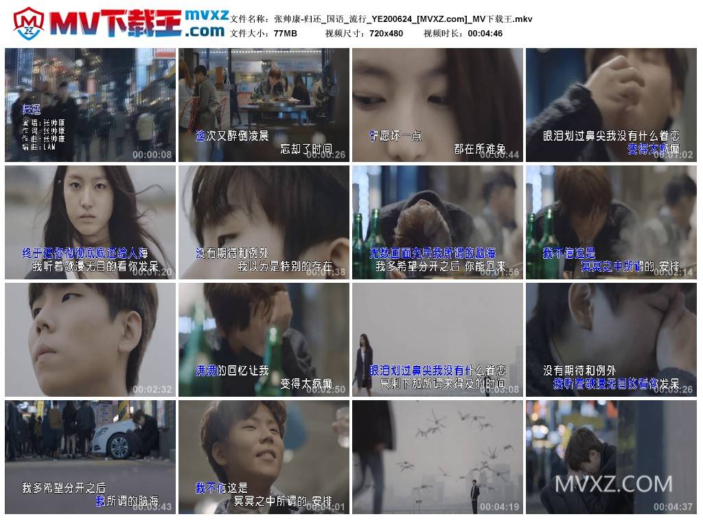 张帅康-归还_国语_流行_YE200624